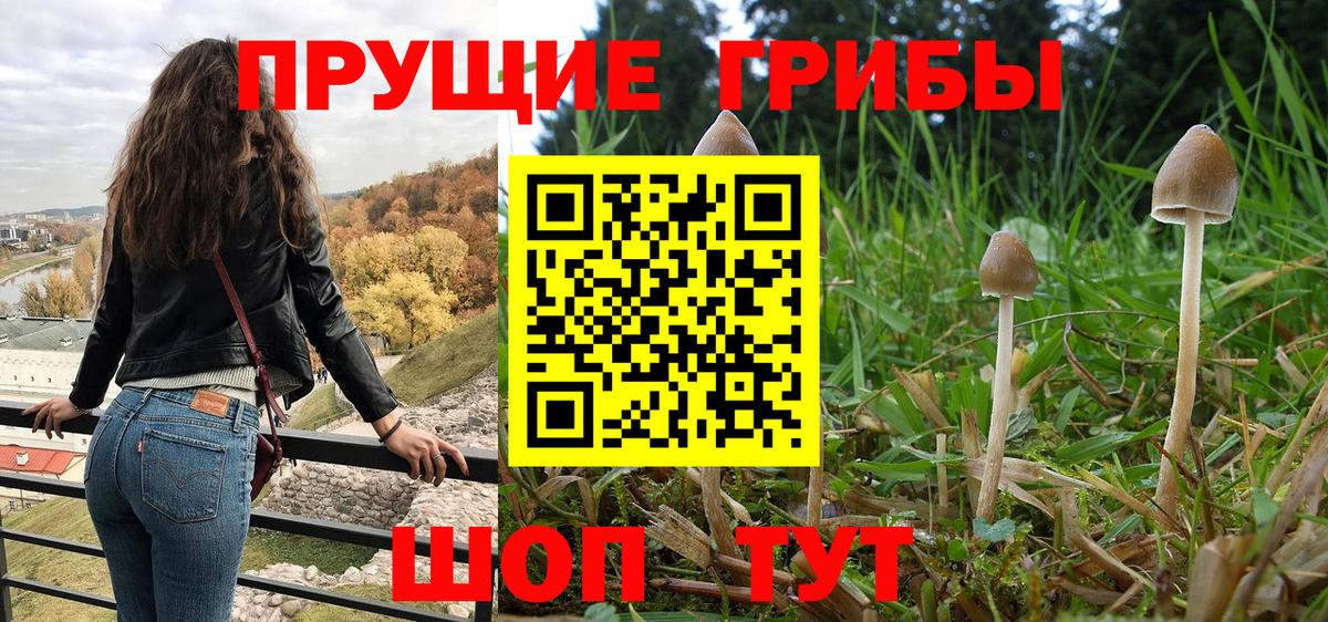 Мариинск  купить   Вход с VPN  Псилоцибиновые грибы прущие грибы  Галлюциногенные грибы Magic Shrooms 